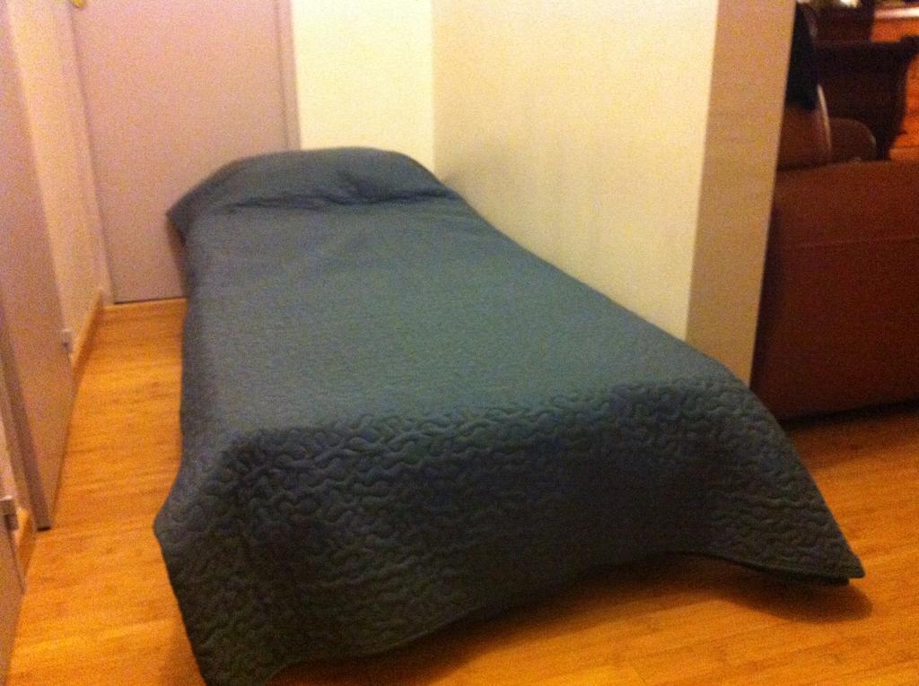 Alibert1Er Apartment Paris Ngoại thất bức ảnh